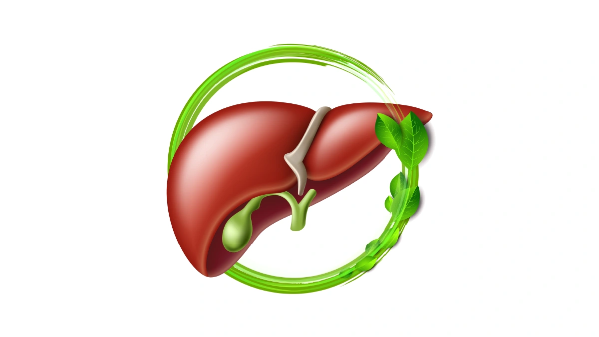 Illustration einer gesunden Leber, die Lebergesundheit und Entgiftung zeigt.